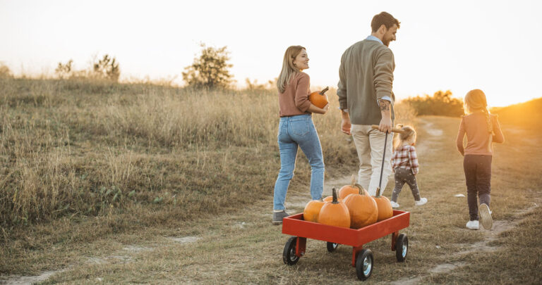 Harvest Season: Year-End Planning